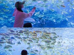 -海合安成都极地海洋公园
