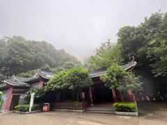 -鼎湖山风景区