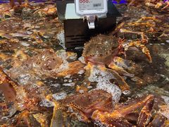 -盒马鲜生(昆城店)