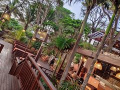 -卷心菜和避孕套餐厅(Pattaya)