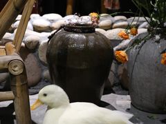 -馬蘭花開(车站大道店)