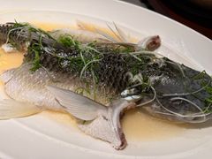 油盐蒸山坑鲩鱼-和平馆·地道港澳茶餐厅(西门口店)