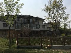 -田园东方蜜桃村的田野营地