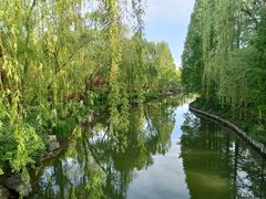 -百脉泉景区