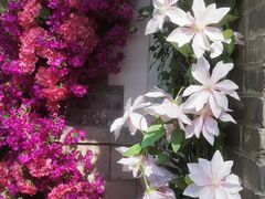 -百花洲