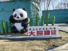 -秦皇岛野生动物园