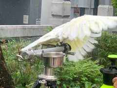 -园圃街雀鸟花园