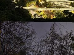 -福道