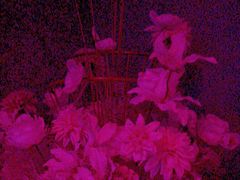 -方糖KTV-PLUS(世茂广场店)