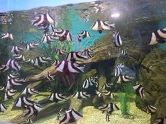 -乌鲁木齐海洋馆