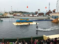 -秦皇岛乐岛海洋王国