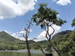 -黔灵山公园