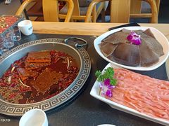 -杨肥肠小火锅(跃进路店)