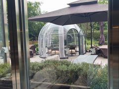 -JW酒廊 JW Lounge(上海鲁能JW万豪侯爵酒店)