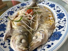 清蒸白水鱼-状元楼(金溪路店)
