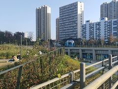 -宁波儿童公园(鄞州区)