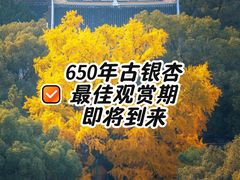 -无锡惠山寺