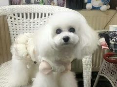 -沐沐家宠物(成寿寺店)