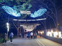 -朝阳公园游乐园