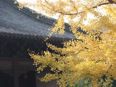 -钱王祠