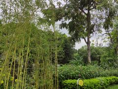 -晓港公园