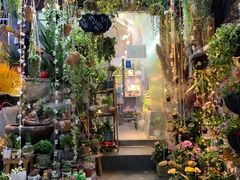 -循礼门鲜花花市(武汉循礼门店)