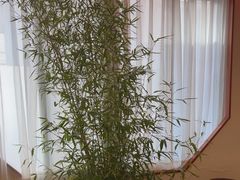 -潇湘·永州会馆(百子湾店)