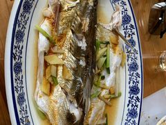 清蒸白水鱼-洞天食府(北大街店)