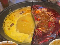 -朱光玉火锅馆(正弘城店)