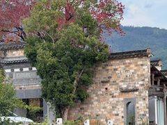 -塔川景区