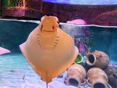 -沈阳海洋探索中心