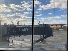 -纽瓦克自由国际机场