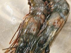 -允辛家·自助泥炉烤肉(九亭店)
