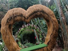 -呀路古热带植物园