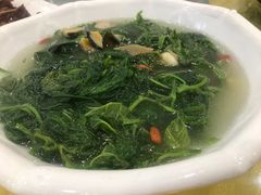 -姚林轩