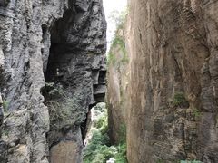 -蝶舞清江·恩施云顶景区(黄鹤峰林)