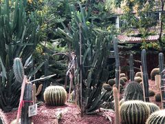 -呀路古热带植物园