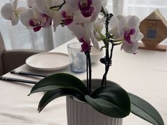 -悦融·京鲁菜·露台花园(安定门店)