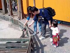 -前小桔亲子创意农场·草莓采摘·露营烧烤