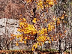 -天津盘山风景名胜区