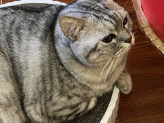 -H立方实景剧情密室(天河旗舰店)