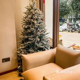 东莞‼️奶酪蛋糕的口感真的很特别💥蛋糕绝美