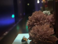 -索拉古贝(义乌北苑店)