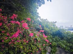 -南宁南湖公园
