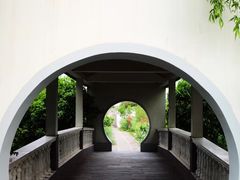 -南汇桃花村