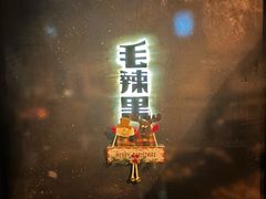 -毛辣果·酸