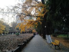 -四川大学(华西校区)