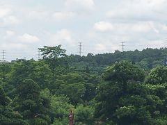 -广西壮族自治区药用植物园