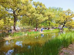 -上海共青森林公园