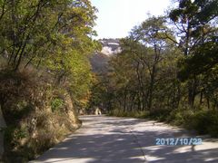 -鲁山国家森林公园